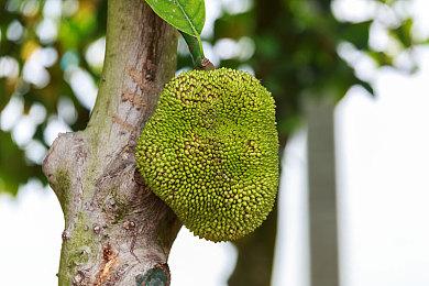 《篝火邂逅》6月登陆Steam 手绘风治愈系旅行冒险